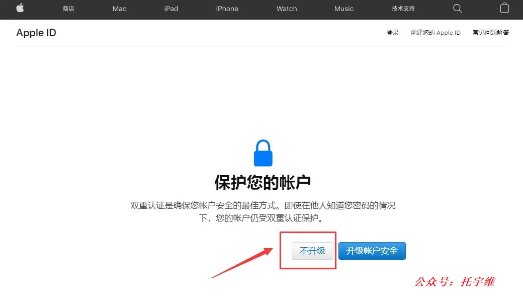 apple005.jpg